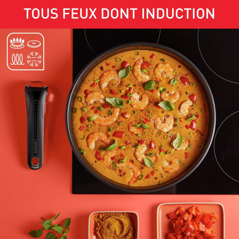 Tefal Ingenio Batterie de cuisine 20 pièces, Poêles, Casseroles, 2 poignées amovibles, Induction, Revêtement antiadhésif,