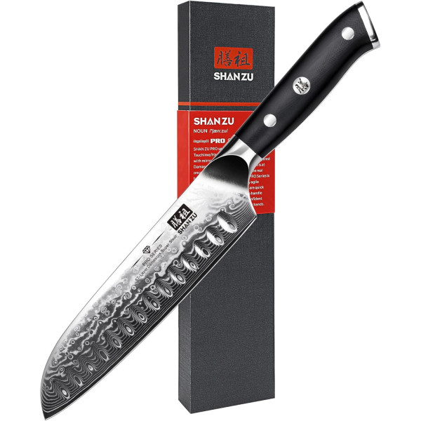 SHAN ZU Couteau Japonais de Chef 20cm, Couteau Damas en Acier Japonais 67 Couches Super Tranchant, Poignée G10 - PRO Series 2