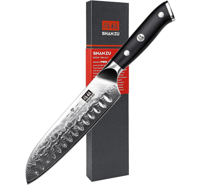 SHAN ZU Couteau Japonais de Chef 20cm, Couteau Damas en Acier Japonais 67 Couches Super Tranchant, Poignée G10 - PRO Series
